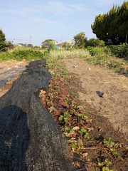 PXL_20250730_223847423