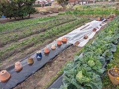 PXL_20211216_234714735