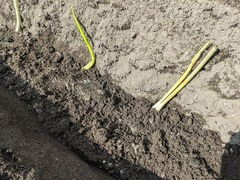 PXL_20230916_005756351