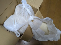 PXL_20250325_053703242