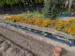 PXL_20251027_044757288