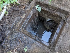 PXL_20220402_230515761