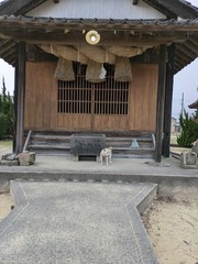 PXL_20260101_073724211.MP