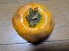 PXL_20241020_211021453