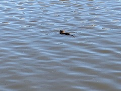 PXL_20240217_232958668