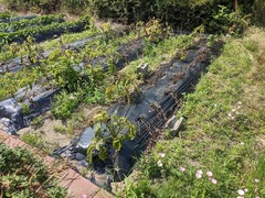 PXL_20230613_002829962