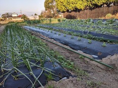 PXL_20221209_230439103