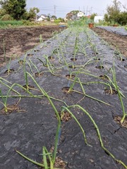 PXL_20231026_225234915