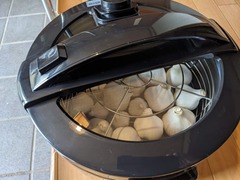 PXL_20240603_052234945