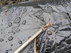 PXL_20250518_051118295