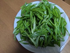 PXL_20230328_101722677