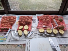 PXL_20240223_000153748