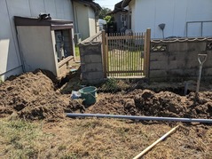 PXL_20230427_010032447