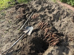 PXL_20220908_071019800