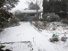 PXL_20240124_024435796