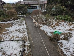 PXL_20240124_072542060