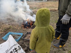 PXL_20250216_041509355.MP