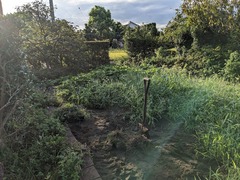 PXL_20230825_215805791