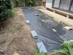 PXL_20250618_050406700