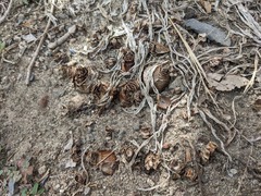 PXL_20240920_033607359