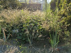 PXL_20250903_221604090