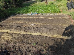 PXL_20230917_231341939