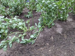 PXL_20230405_225841084.MP