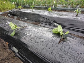 PXL_20210504_235022343