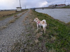 PXL_20251203_071759571