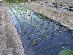 PXL_20251117_000140824