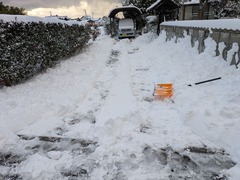 PXL_20260208_073309763