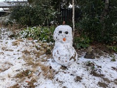 PXL_20250222_071413439