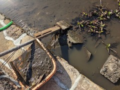 PXL_20240411_233650470