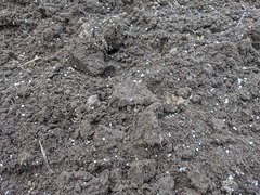 PXL_20240301_235219484