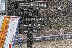 PXL_20221218_023820850.MP