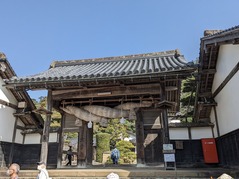 PXL_20230311_013407930