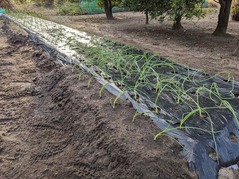 PXL_20221030_225036783