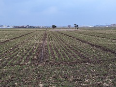 PXL_20231228_222851670