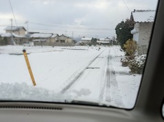 PXL_20211226_231911976.PORTRAIT