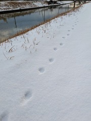 PXL_20250208_224945619