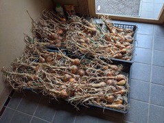 PXL_20210611_005010175