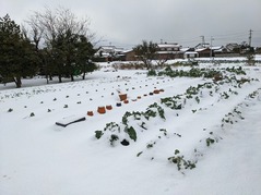 PXL_20211226_231545813.NIGHT