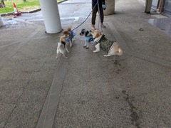 PXL_20250315_222719796