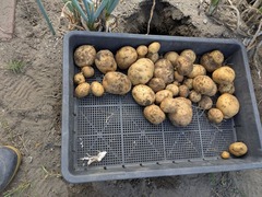 PXL_20250719_223622383