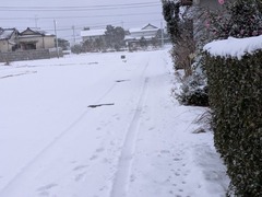 PXL_20260121_221940408