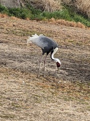 PXL_20240316_225641673