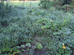 PXL_20230825_210005089