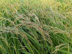 PXL_20250819_090444620