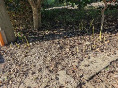 PXL_20240925_233030452