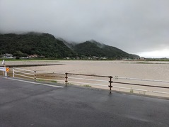 PXL_20210706_234536017